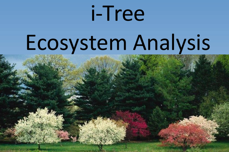 I-Tree Ecosystem Analysis Report Cover