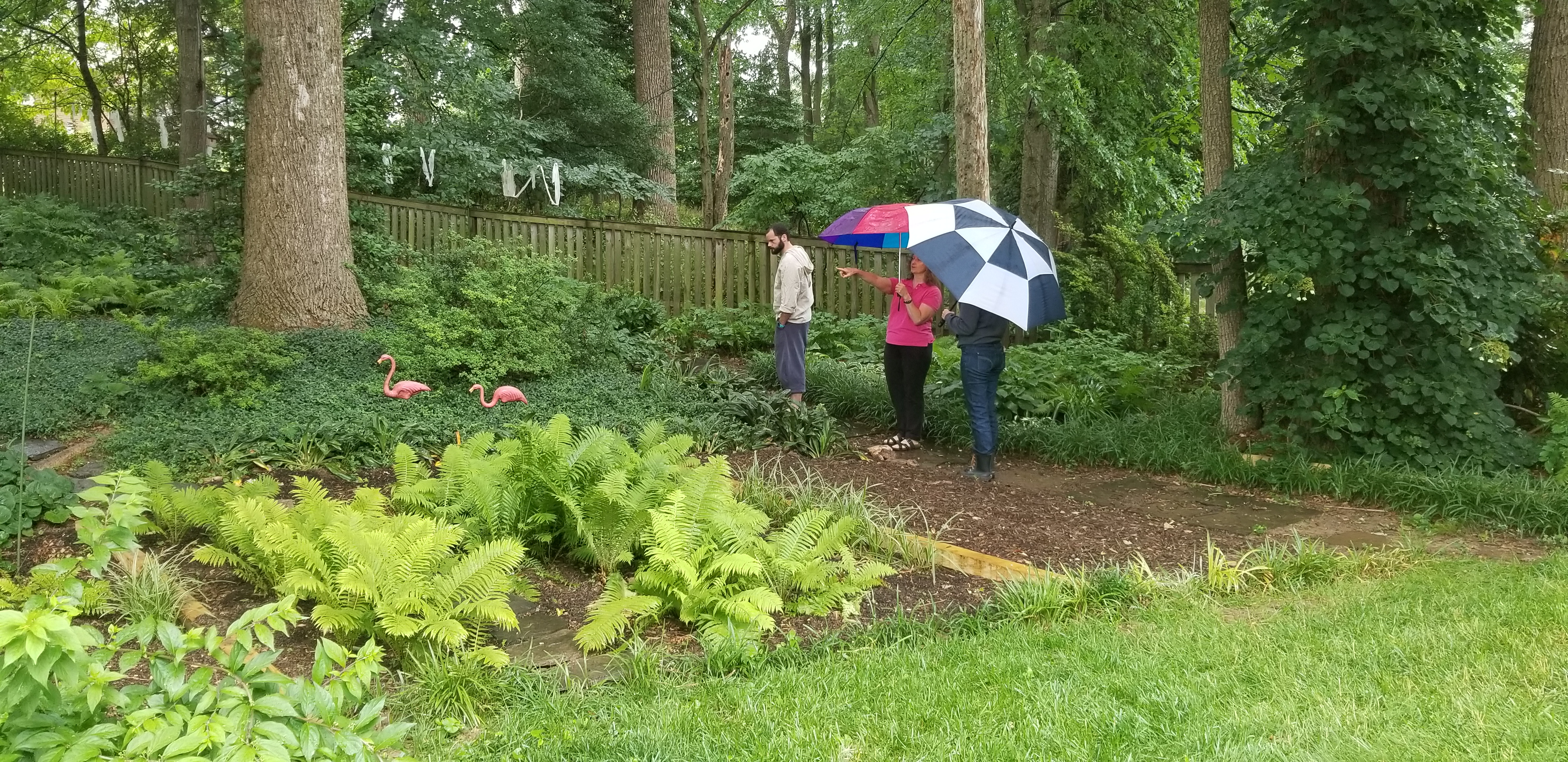 One homeowner showed how they used native plants to control erosion on a slope.