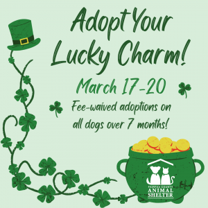 Adopt Your Lucky Charm March 17-20