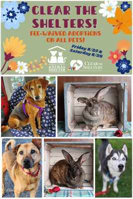 Collage of dogs and rabbits with "Clear the Shelters" design