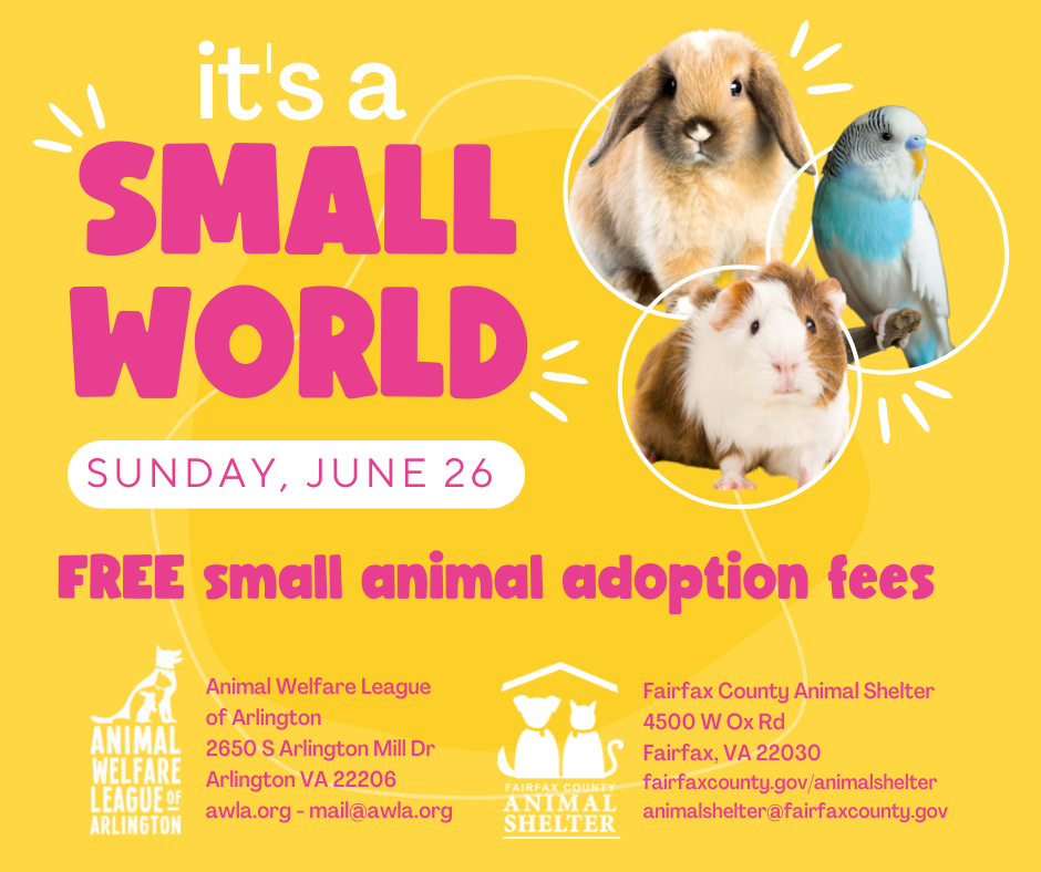 It's a Small World Fee-Waived Adoption Event June 26