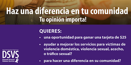 survey information graphic in Spanish