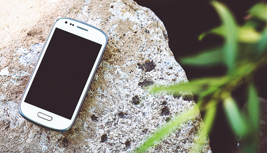 smart phone on rock with plant