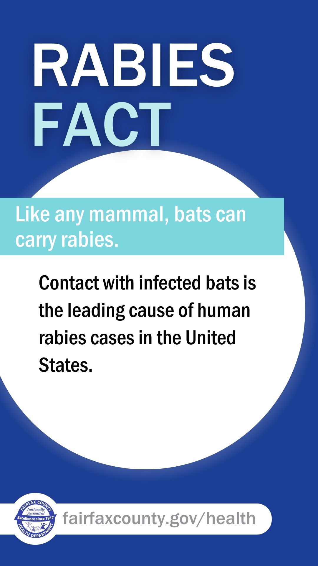 Rabies Fact: Like and mammal, bats can carry rabies. Contact with infected bats is the leading cause of human rabies cases in the United States.