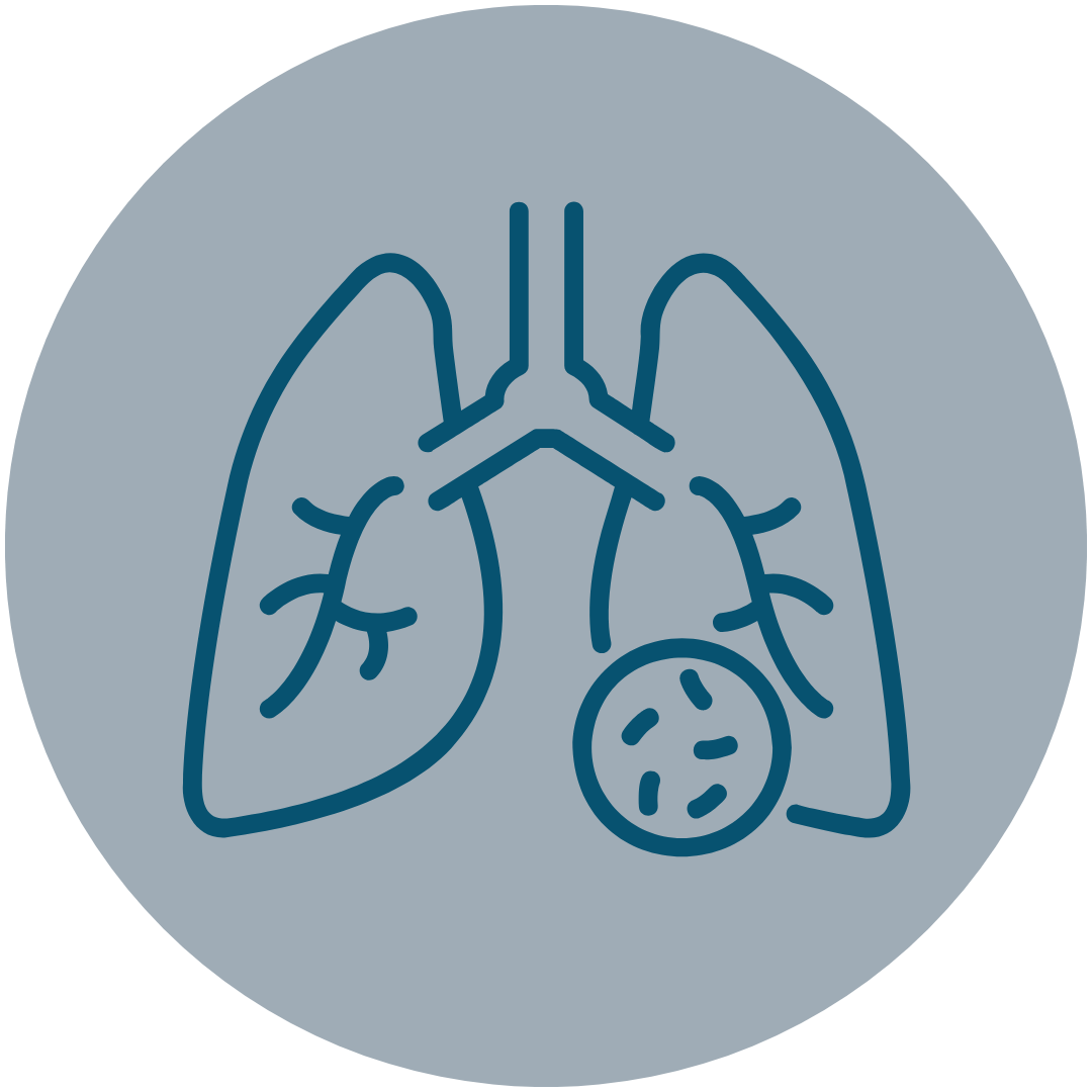 Icon of lungs with a magification of tuberculosis bacteria
