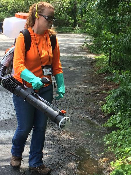 Female staff member wearing a backpack sprayer and spraying greenery