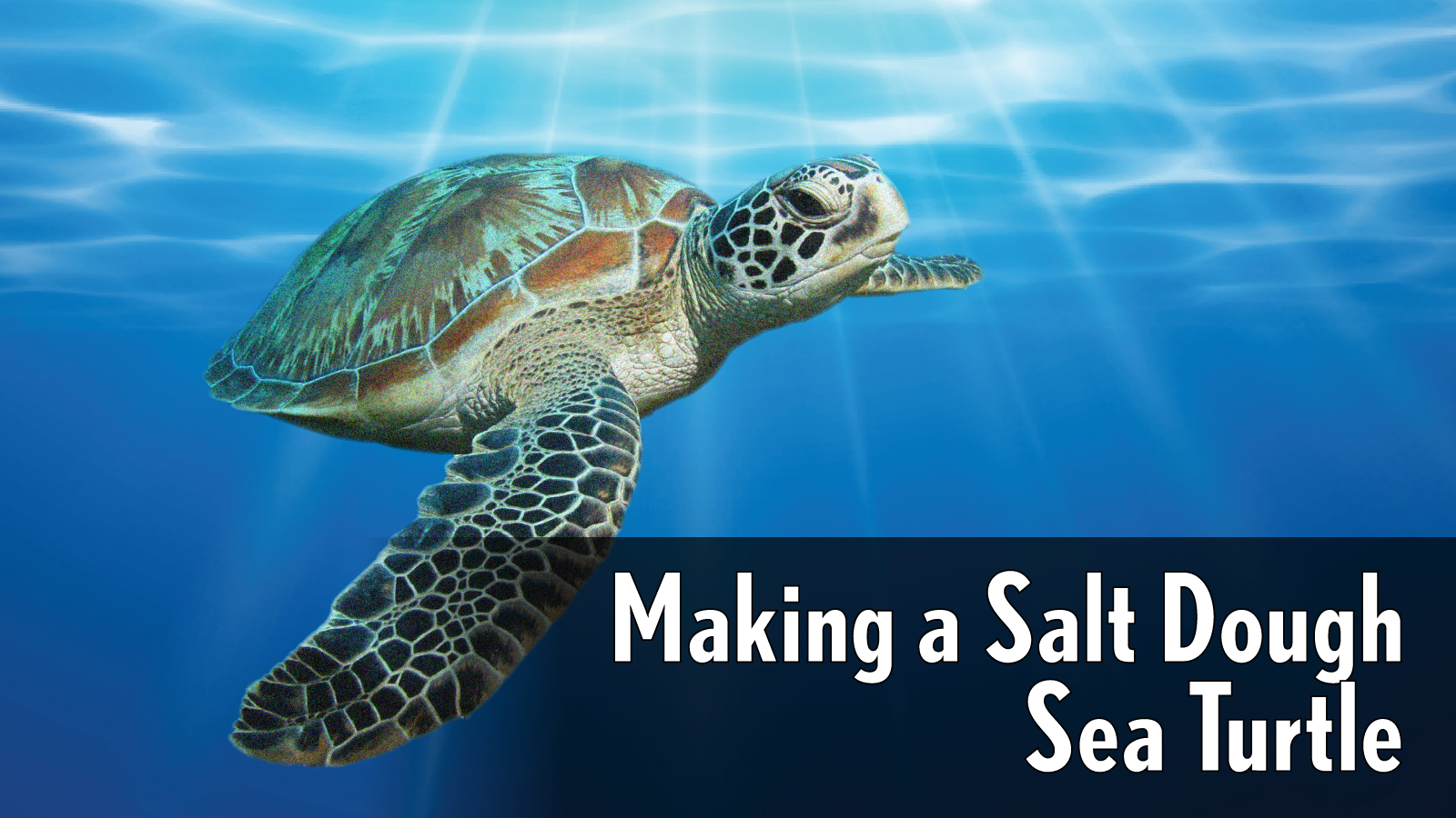 Making a Salt Dough Sea Turtle