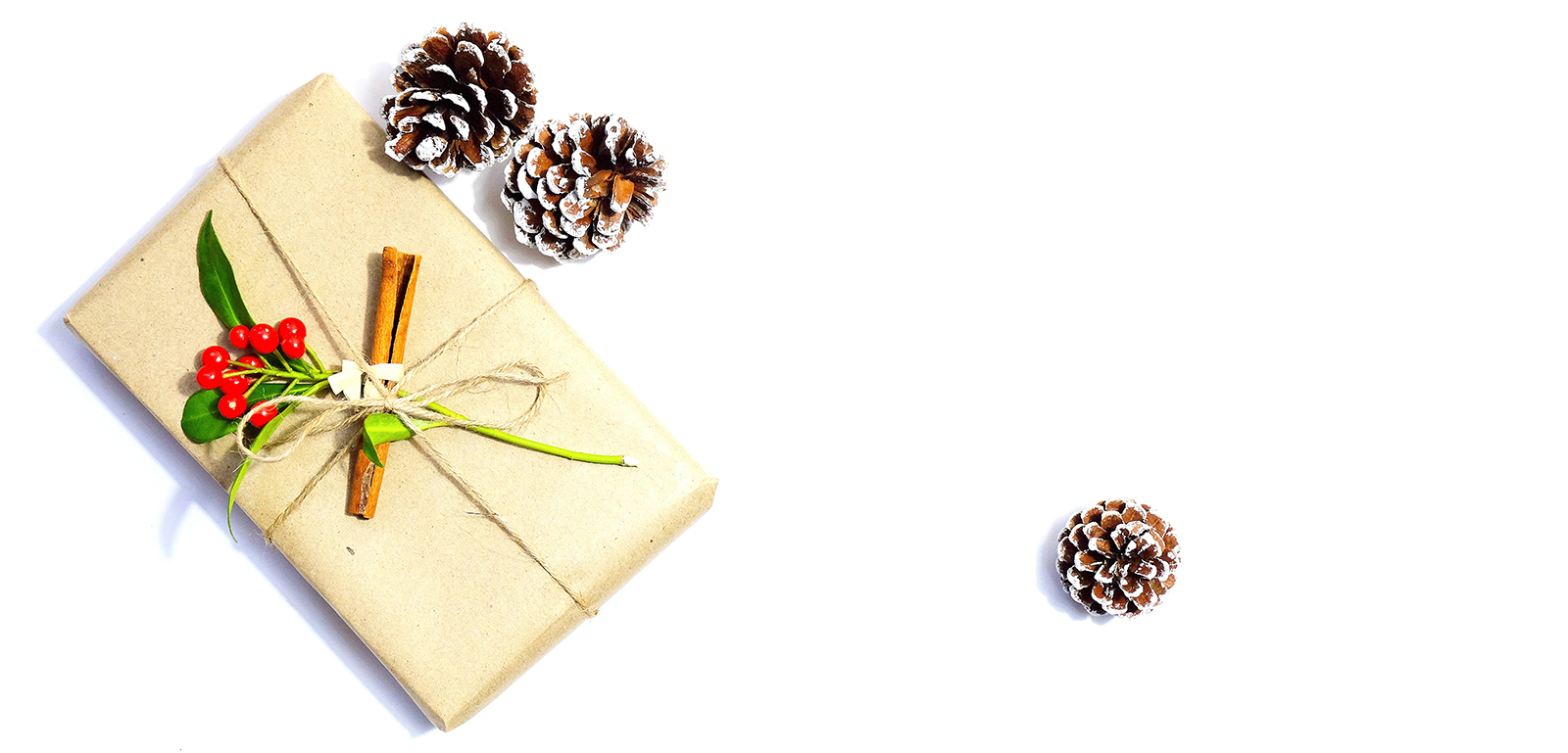 gift wrapped in brown paper with twine and holly next to pinecones