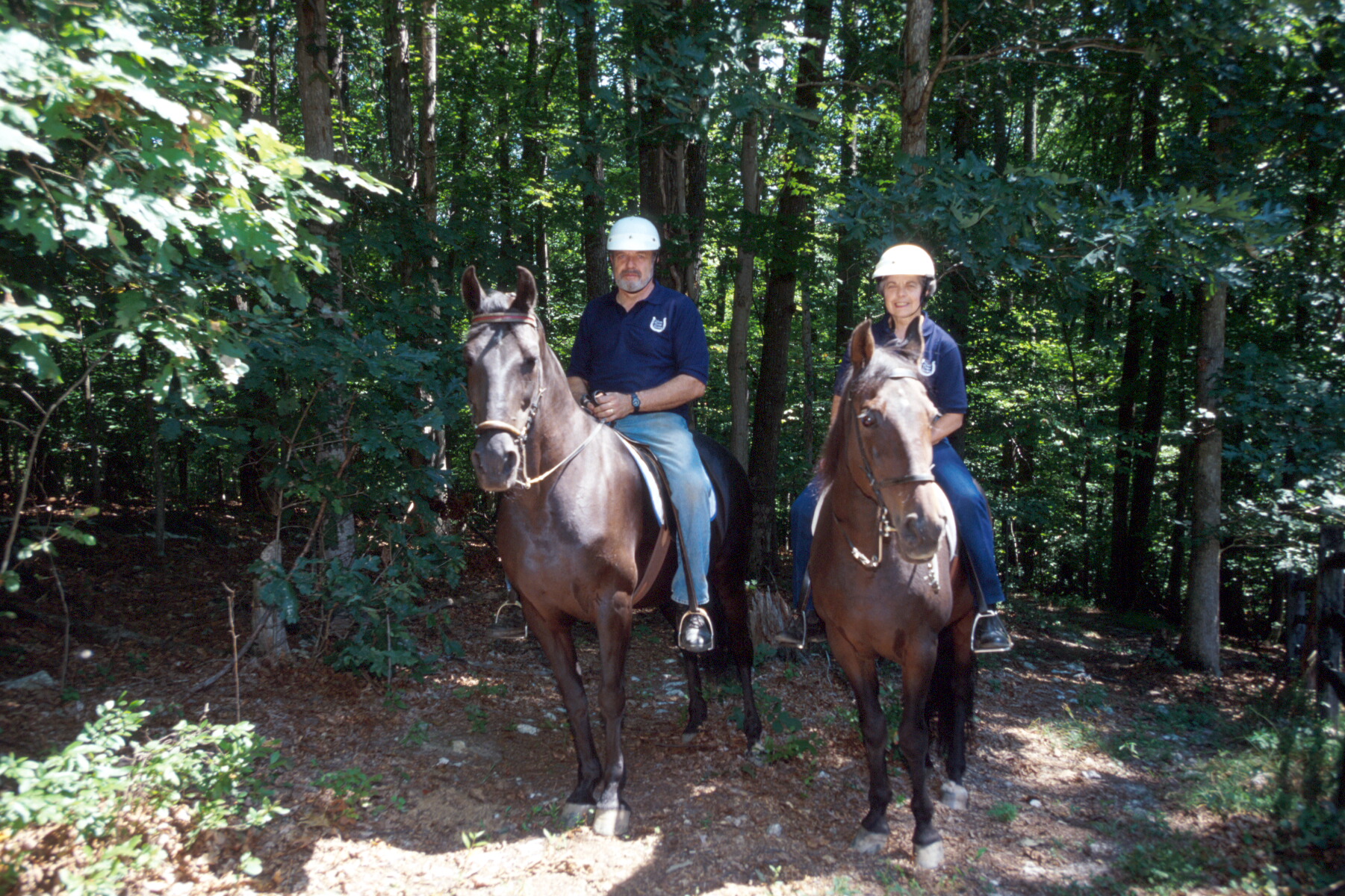 People riding horses on trail