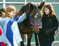 Smiling Girl Scouts meet and pet one of the park's draft horses