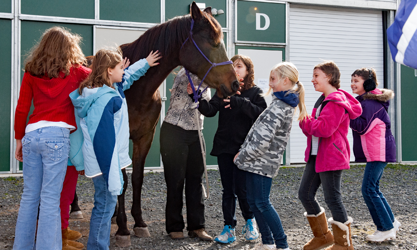 Several Girl Scouts gather around a horse outside a barn