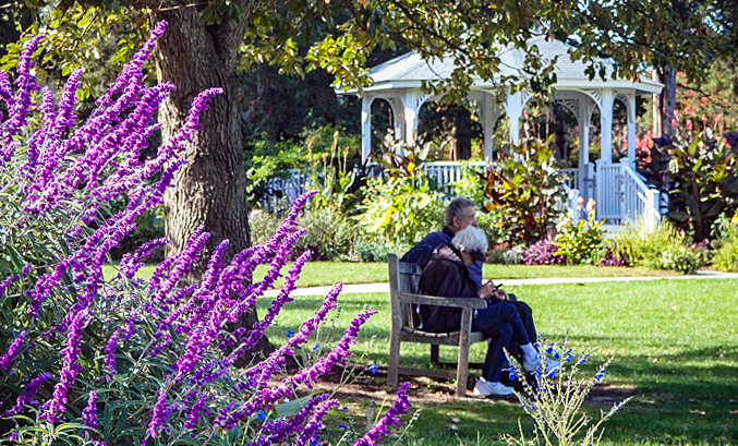 Two people sit on a bench amid blooming trees and flowers