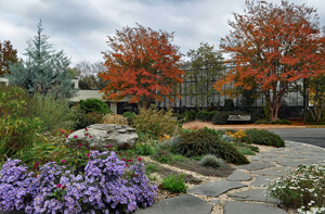 Rock garden in bloom sits in front of Green Spring's horticulture center