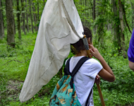 Young child carries a net on a hiking trail