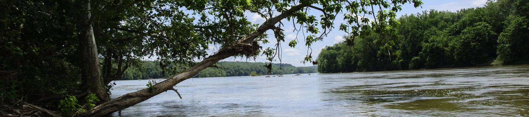 Photo of Potomac River from Riverbend