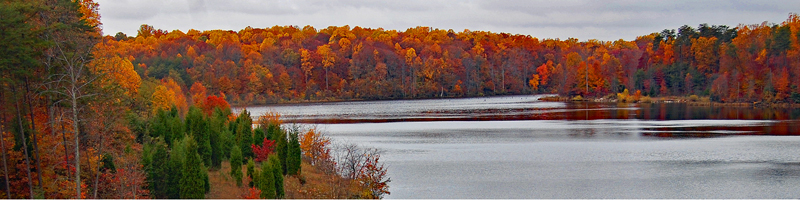 Trees will fall-colored leaves line the shore of Lake Mercer