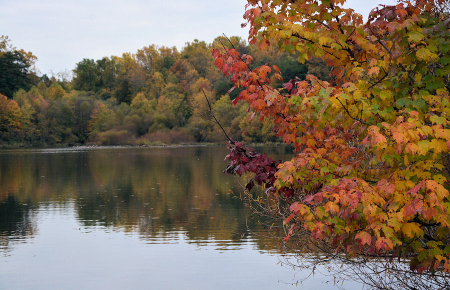 Image of Lake Mercer and vibrant fall foliage
