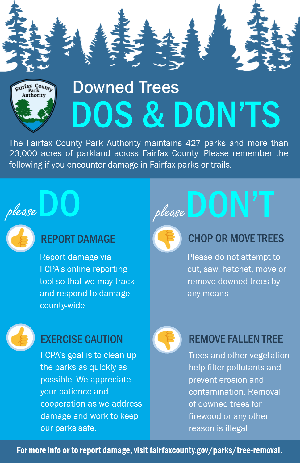 Downed Trees Dos &Don't