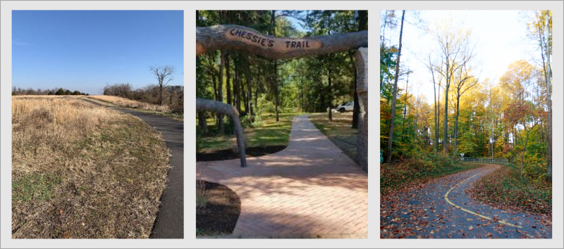 a collage of three accessible trails in winter, summer, and fall