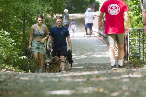 Take a Hike with the Park Authority on National Trails Day, June 3