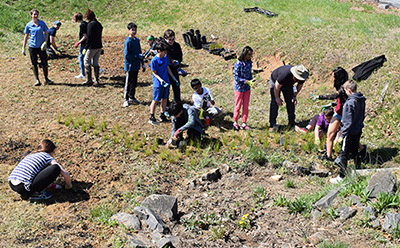 Students Planting at Lake Braddock Secondary School