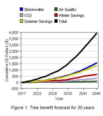 Tree Benefit forecast for 30 years