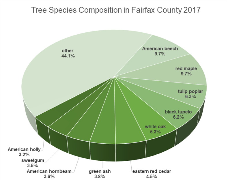 Tree Species Composition in Fairfax County 2017