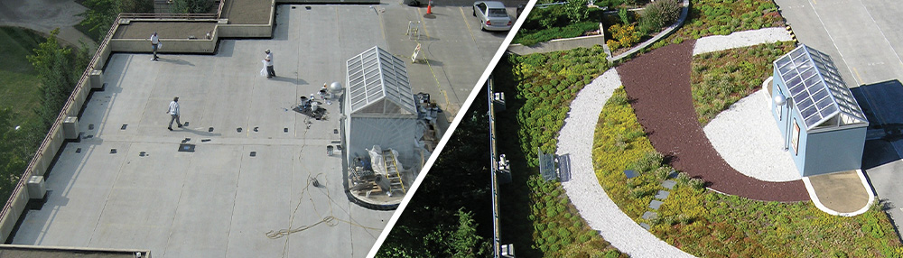 Herrity Building parking structure intensive vegetated roof system before and after