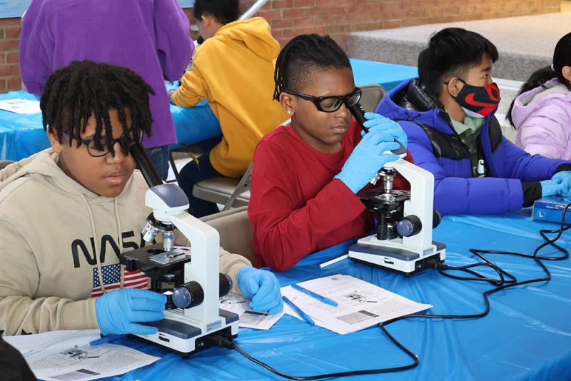 Students at work in microscope lab