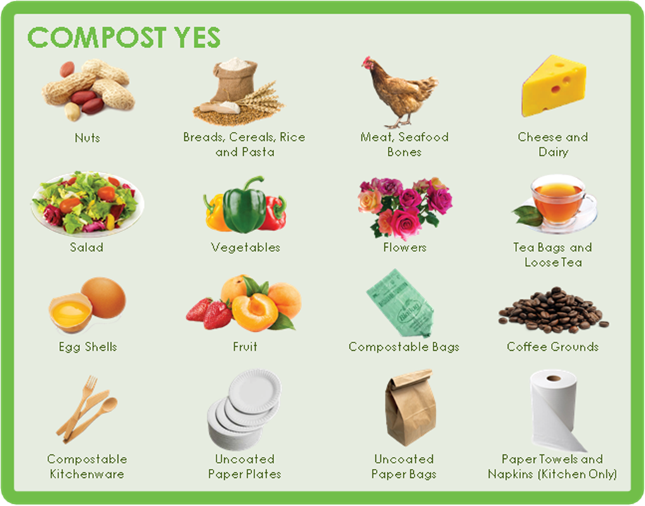 Compost Yes
Nuts
Breads, Cereal, Rice and Pasta
Meat, Seafood Bones
Cheese and Dairy
Salad
Vegetables
Flowers
Tea Bags and Loose Tea
Egg Shells
Fruit
Compostable Bags
Coffee Grounds
Compostable Kitchenware
Uncoated Paper Plates
Uncoated Paper Bags
Paper towels and Napkins (Kitchen Only)