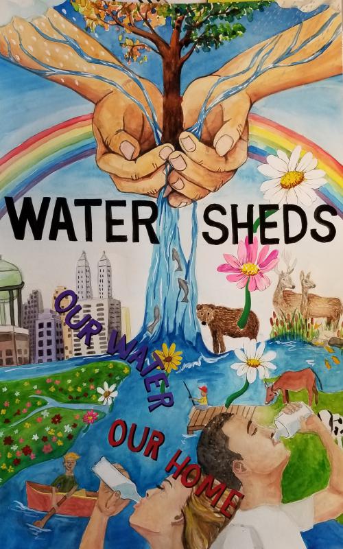 "Watersheds: Our Water, Our Home" by Sarah Kim