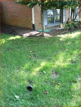 Downspout extensions carry water away from the foundation and discharge onto a gently sloped, grassy area in the lawn.