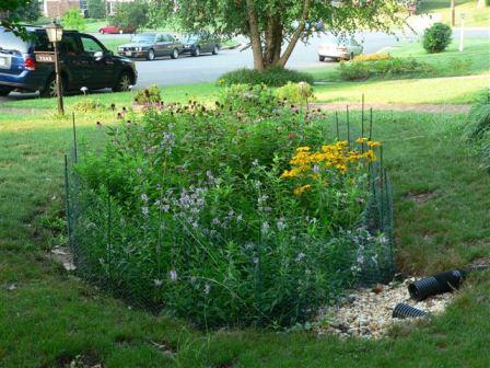 A rain garden is one example of a suitable outlet.