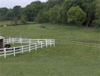 A high quality pasture for horse with temporary fences allows for rotational grazing.