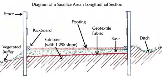 Diagram of a sacrifice area: longitudinal section