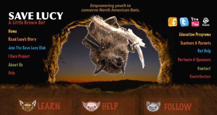 Save Lucy (a little brown bat)
