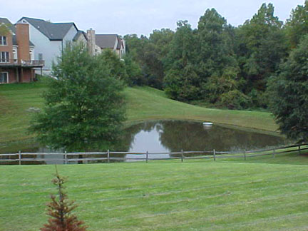 A wet pond in a residential area.
