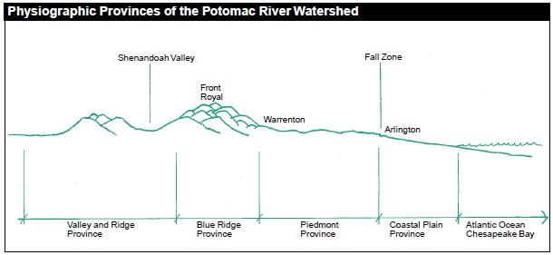 The Potomac River Watershed is made up of four physiographic provinces, spanning from the Valley and Ridge to the Piedmont and Coastal Plain. The shape of the land, the type of rock found within it and the type of soils associated with it are different for each province.