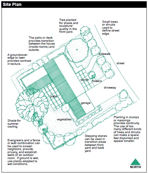 A site plan will help you decide which plants to place where, as plants have different growing needs (water, sunlight, etc). Example notes: small trees/shrubs to define street edge; tree planted for shade and sculptural quality in front yard. Groundcover edge to lawn provides contrast in texture. Shade for summer cooling. The patio or deck provides transition between inside (house) and outside (yard). Planting in clumps or massings provides continuity; the use of too many different kinds of trees/shrubs can make a space feel disjointed and smaller. Stepping stones can be used in transition areas between front- and backyard. Evergreens or a fence or wall combination can be used to screen neighbors, provide privacy, and establish walls of an outdoor room; if ground is wet, use plants adapted to wet conditions.