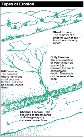 Types of Erosion: Soil erosion occurs when topsoil is washed or blown away by water or wind. (A) Sheet erosion: The removal of a uniform layer of soil from the surface by runoff. (B) Rill erosion: The process where numerous small cuts are formed. Rills can be several inches deep. (C) Gully erosion: The accumulation of water in narrow cuts which removes the soil to considerable depth. These cuts can be several feet deep. (D) Channel erosion: The scouring of streambanks or drainageways by increased water flows.