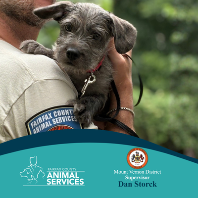 Small dog being held by an Animal Services Officer outside with FCAS and Mount Vernon District Supervisor Dan Storck logos below.