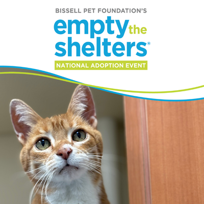 Empty the Shelters logo with a white and orange cat looking upward.