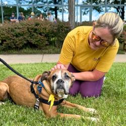 Adoptable dog getting pets from a Fairfax County Government employee at a LiveWell event