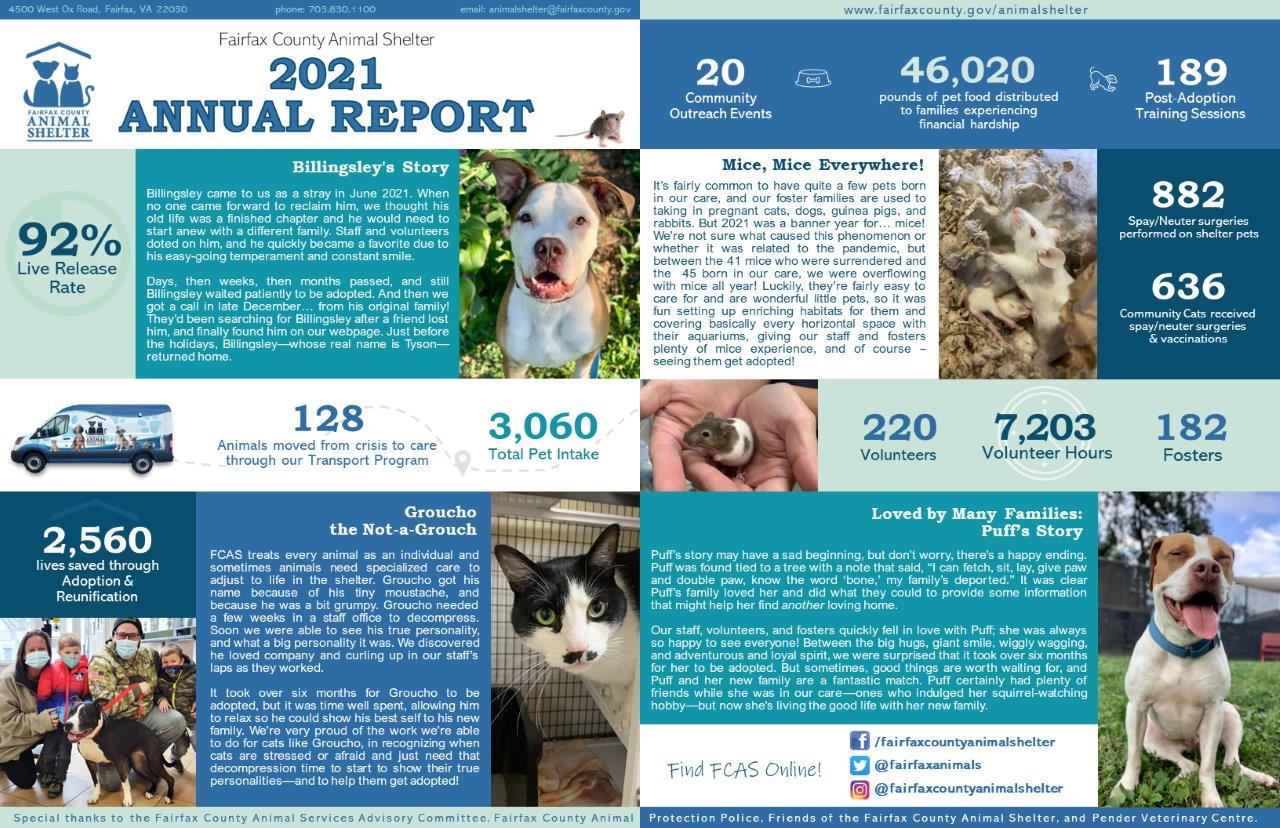 Animal Shelter Annual Reports | Animal Shelter