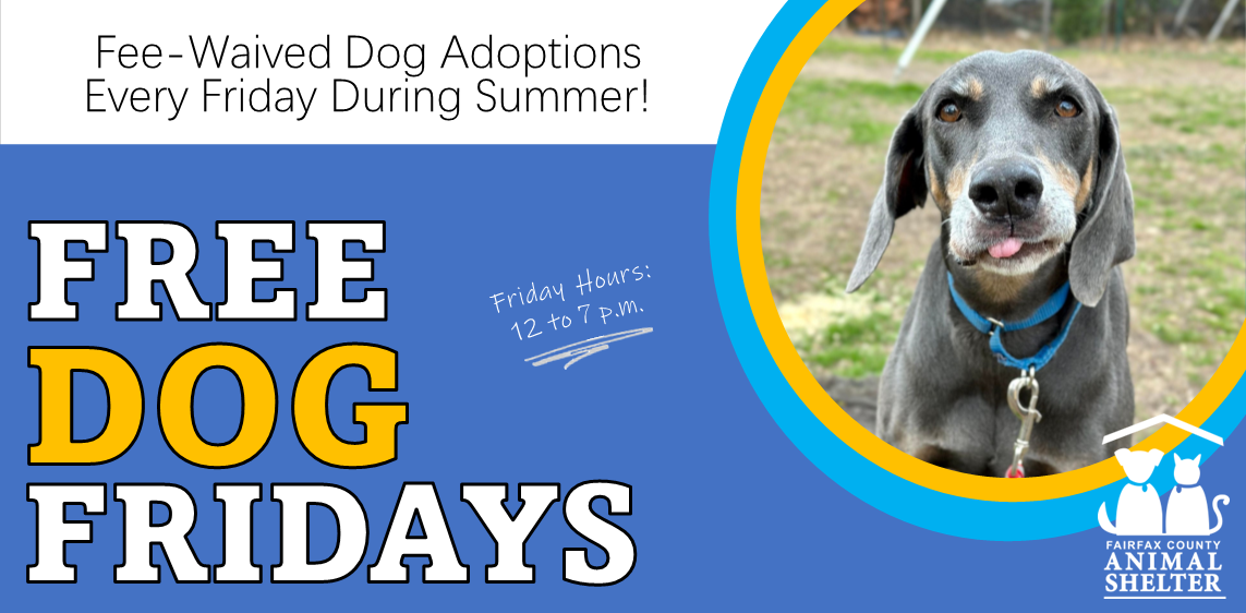 Free Dog Fridays, all summer in 2023!