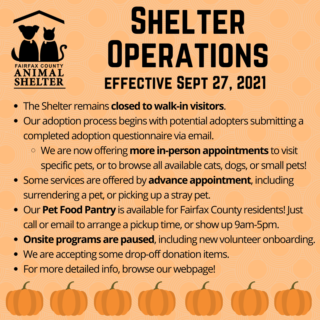 Guidelines effective September twenty seventh.
