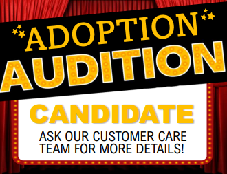 Graphic that says: Adoption Audition Candidate. Ask our Customer Care team for more details!