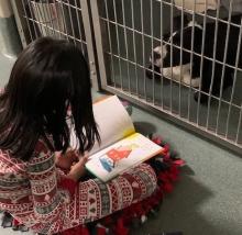 girl reading to a shelter dog