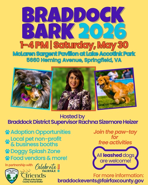 Braddock Bark 2026 flyer