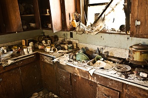 kitchen that is unsanitary